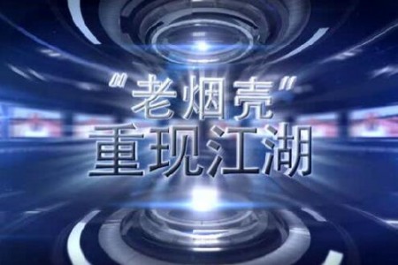 老煙殼重現(xiàn)江湖——縱論大勢，撥開2016大蒜迷霧 (4019播放)