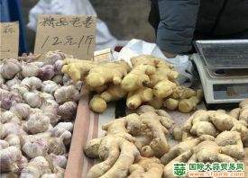 蘭州：綠葉菜、大姜等蔬菜價(jià)格大漲 ()