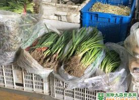 北京昌平：3月菜價(jià)進(jìn)入下行區(qū)間 ()