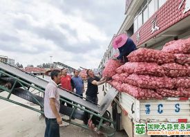 邳州：大蒜市場購銷兩旺 ()