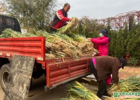 煙臺(tái)：調(diào)味菜價(jià)格親民 ()