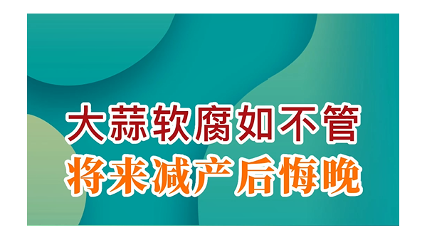 大蒜軟腐如不管，將來減產(chǎn)后悔晚 (730播放)