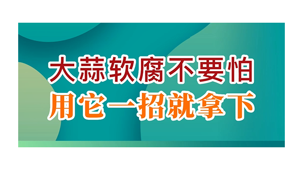 大蒜軟腐不要怕，用它一招就拿下 (811播放)