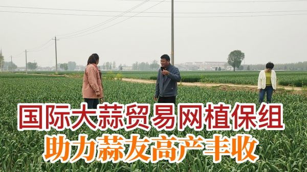 國際大蒜貿易網植保組助力蒜友高產豐收 (709播放)