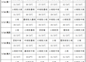 蒜區(qū)暴雨連連 悶熱天氣在線 ()