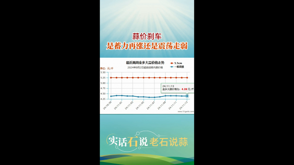 蒜價剎車是蓄力再漲還是震蕩走弱 (567播放)