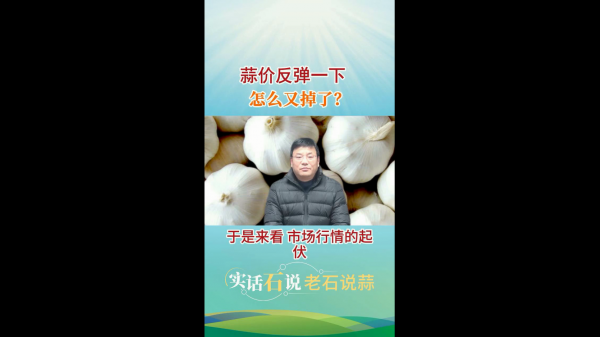 蒜價反彈一下怎么又掉了？ (308播放)