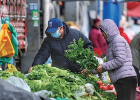 濟南：降雪期間菜價保持平穩(wěn)